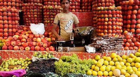 People And Their Piles: A Pictorial Documentation