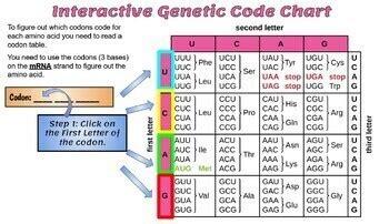 Genetic Code Chart 的图像结果