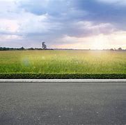 Image result for roadside