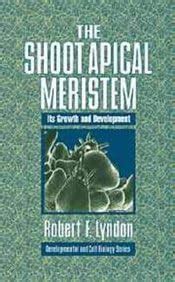 The Shoot Apical Meristem - Its Growth And Development : Amazon.in: Books