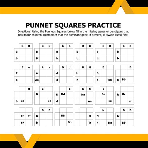 Punnett Square Worksheets - 10 Free PDF Printables | Printablee