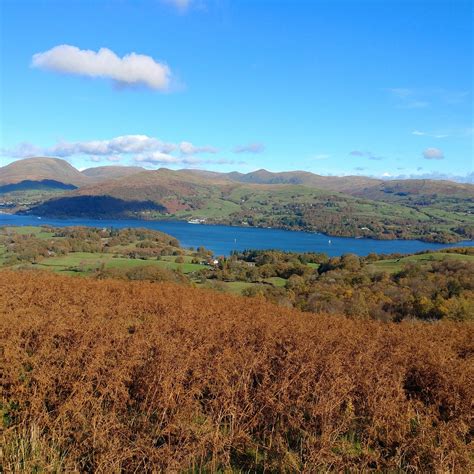 LATTERBARROW (2025) All You Need to Know BEFORE You Go (with Photos ...