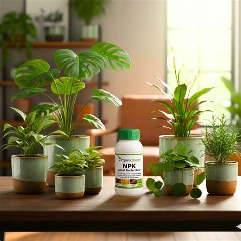 Bio NPK Fertilizer Liquid for Organic Gardening – Organicbazar
