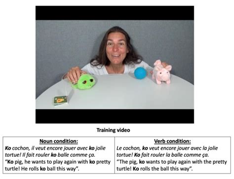 Image result for Script for a Tutorial Example