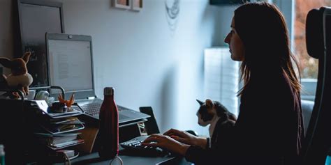 Image result for Focus Training Exercises