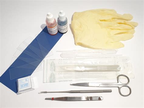 Image result for DIY Microscope Slide