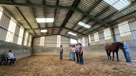 Systemic Constellations 2025 - Yeguada La Perla