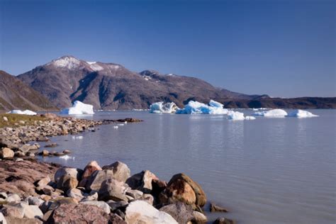 Image result for Virtual Microscope