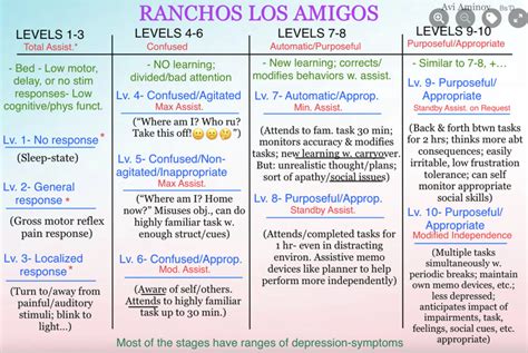 Rancho Los Amigos - Cognitive Level Scale - CLS Diagram | Quizlet
