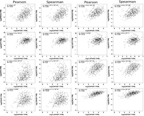 PI3K-AKT-mTOR and NFκB Pathways in Ovarian Cancer: Implications for ...