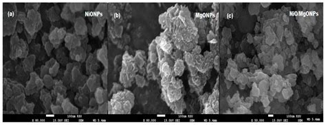 New Functionalized Polymeric Sensor Based NiO/MgO Nanocomposite for ...