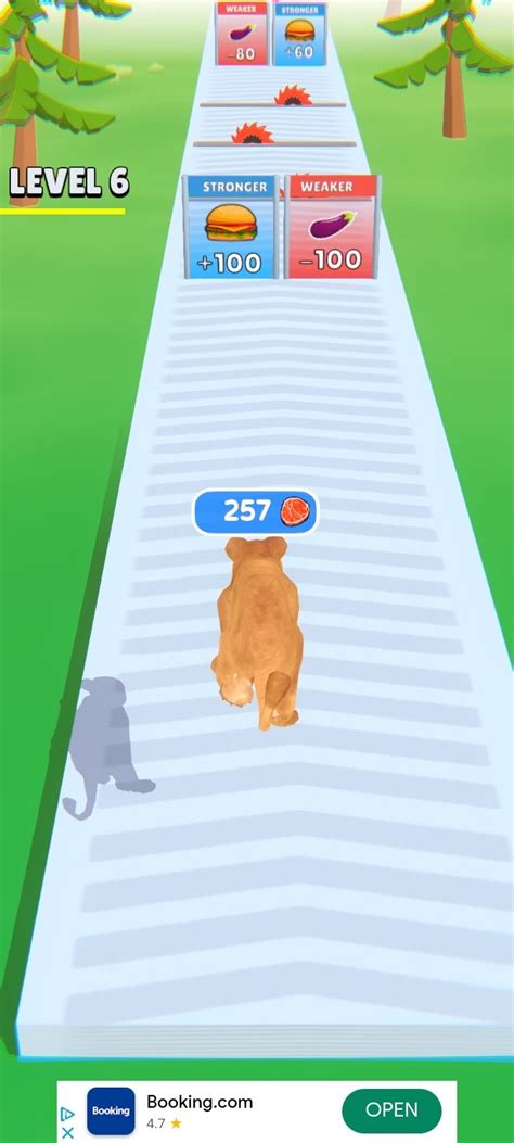 Image result for Cat Evolution Simulator