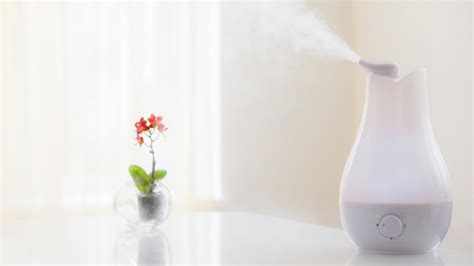 Warm Mist vs Cool Mist Humidifiers: Which is Better? | HowtoHome