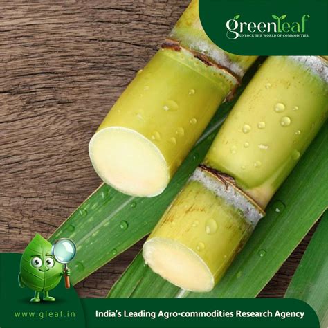 Sugarcane biofuel plant in Iberia Parish nears completion