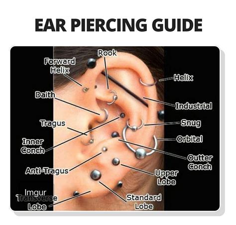 Pin by Heather Howard on interesting | Ear piercings chart, Ear ...
