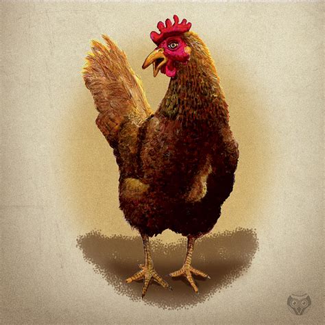 Image result for Gallinas Tutorial