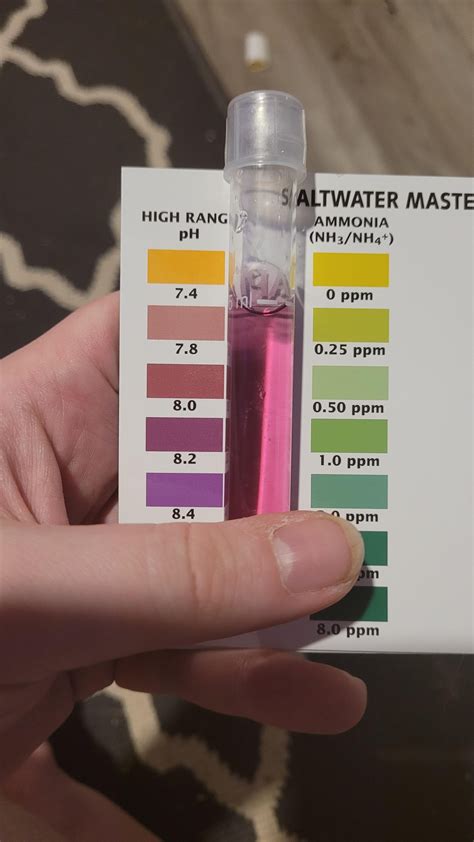 What is my new saltwater tank's pH? (Still cycling, no corals or fish ...