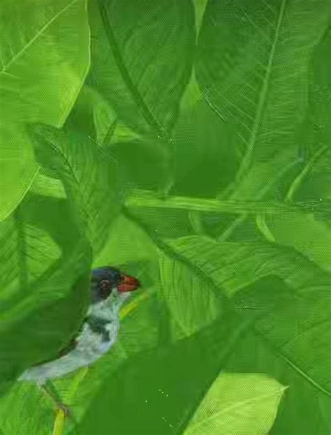 'Contemporary Now': A Vibrant Debut in Hyderabad | t2ONLINE