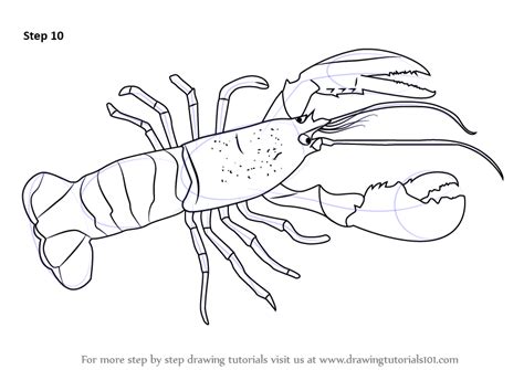 Image result for Simple Lobster Drawing