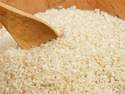 What are the environmental benefits of growing Thanga Samba rice? – B&B ...