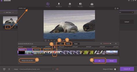 Open MP4 Trim File 的图像结果