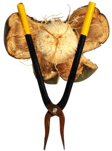 Buy RUDRANKSH Coconut Husk Peeler/Coconut Outer Shell Extractor/Coconut ...