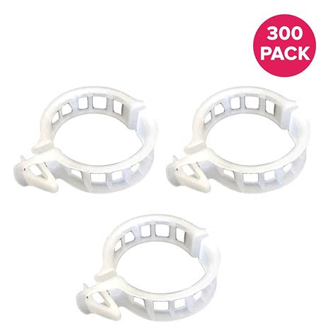 Staking Tomatoes with String 的图像结果