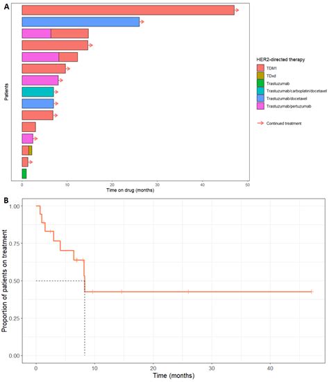The Clinical Utilisation and Duration of Treatment with HER2-Directed ...
