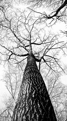 Background Images Black And White by Black And White Iphone Backgrounds Pixelstalk Net Background Images Black And White