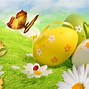 Image result for Easter Butterfly