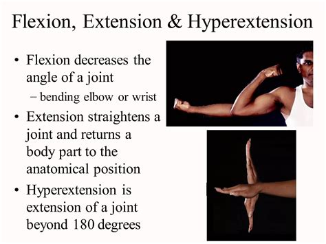 Terminology of movement in anatomy, flexion extension hyperextension ...