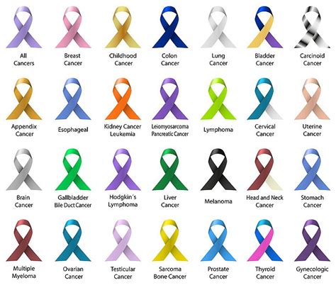 Types of Cancer Names 的图像结果