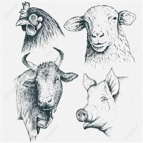 Farm Animals Drawing by Mark McInney