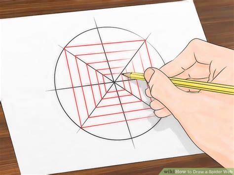 Spider Web Sketch at PaintingValley.com | Explore collection of Spider Web Sketch