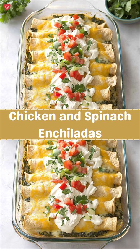 Chicken and Spinach Enchiladas - Family Dinner Recipes