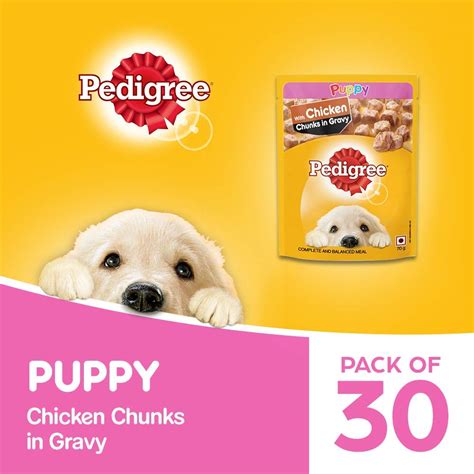 Buy Pedigree Puppy Wet Dog Food, Chicken Chunks in Gravy, 70 g (Pack of ...