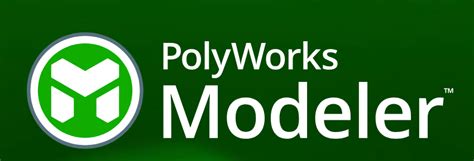 Image result for PolyWorks Graphics