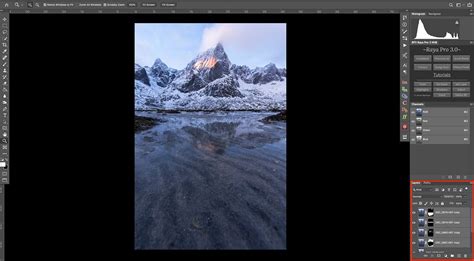 Image result for Focus Stacking Guide