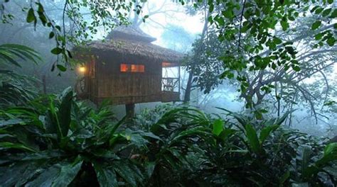 4 Days in Kerala Guide: Top Tourist Places & Things to Do in 2025