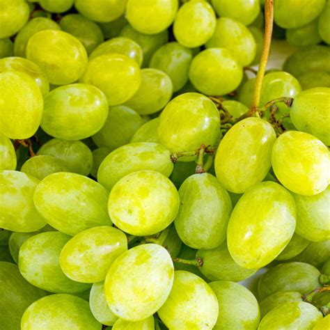 Green Seedless Grapes Good For You at May Myers blog
