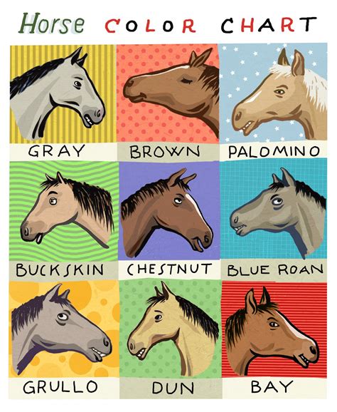 Horse Color Chart Description