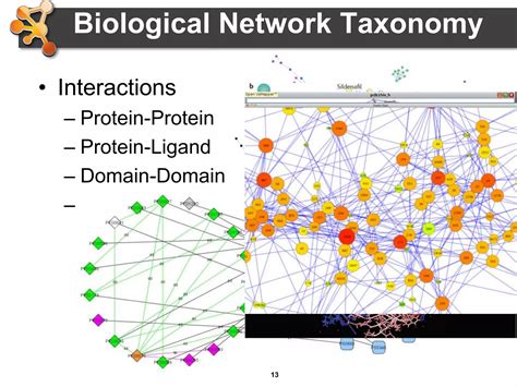 Image result for Cytoscape Network Analysis Tutorial