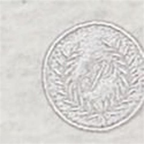 Explore All Types of PINK Apparel Collection | Victoria's Secret India