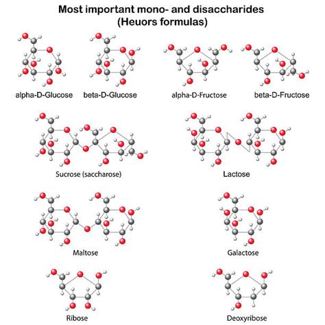 Image result for Example of Chemical Composition