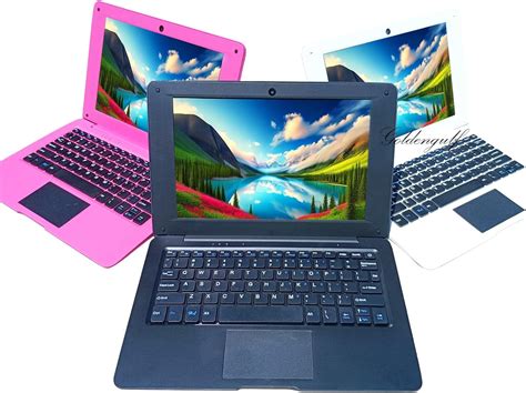 Image result for 10 Dollar Computer