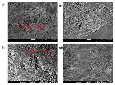 Influence of Potassium-Based Alkaline Electrolyzed Water on Hydration ...