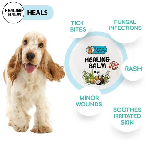 Papa Pawsome’s Lick-Safe Healing Balm | Soothe, Heal & Protect Your Pet ...