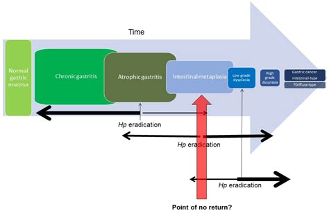 Gastric Intestinal Metaplasia: Challenges and the Opportunity for ...
