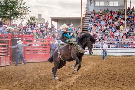 Vanderburgh County Fair | Fun For Everyone