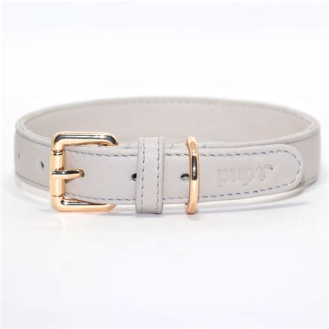 Buy Beige Color Collar for Dogs Online – pupr.in